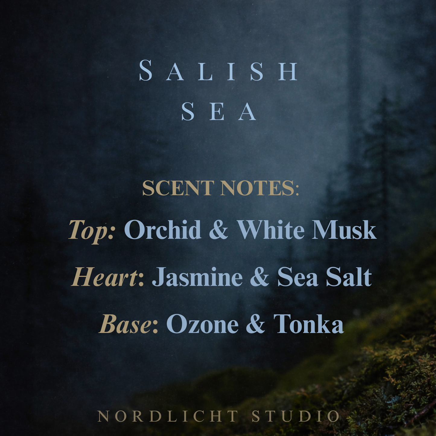 Salish Sea – Sea Salt & Orchid | Pacific Northwest Scented Candle | Nordlicht Studio