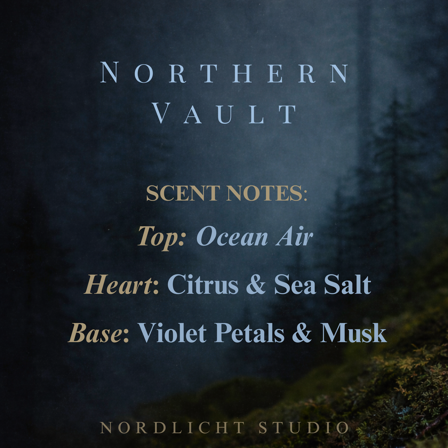 Northern Vault | Pacific Northwest Scented Candle | Nordlicht Studio