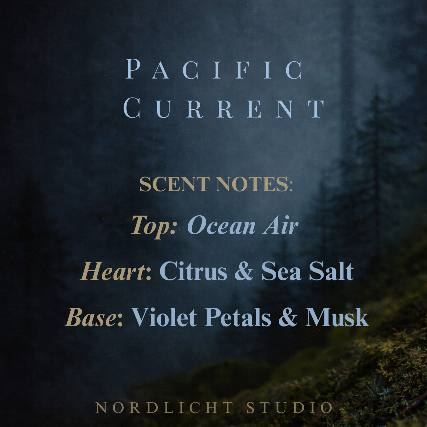 Pacific Current - Ocean Air | Pacific Northwest Room Spray